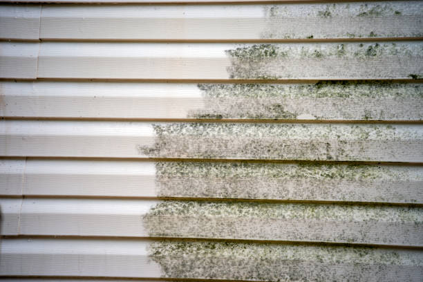 Siding for Multi-Family Homes in Plumas Lake, CA