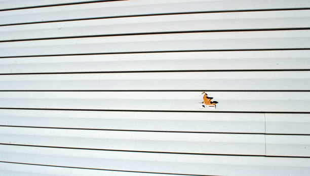 Best Brick Veneer Siding  in Plumas Lake, CA